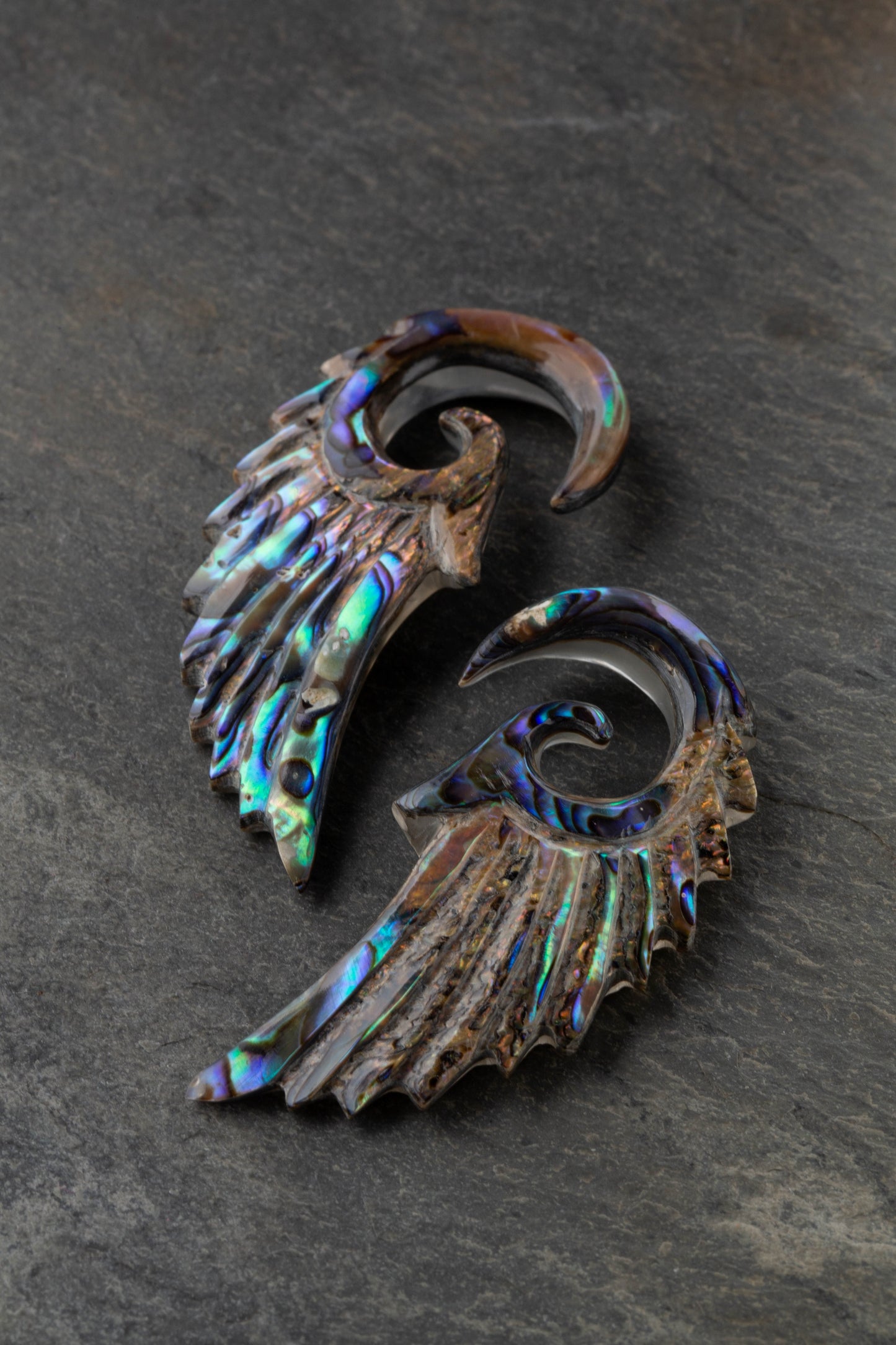 Abalone Angel Wing Hanging Spiral Taper Plugs