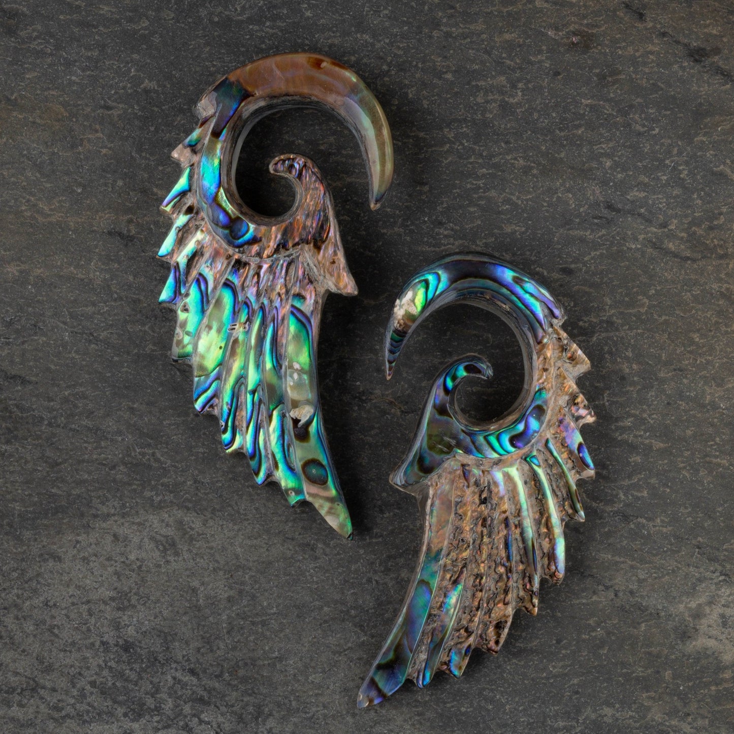 Abalone Angel Wing Hanging Spiral Taper Plugs
