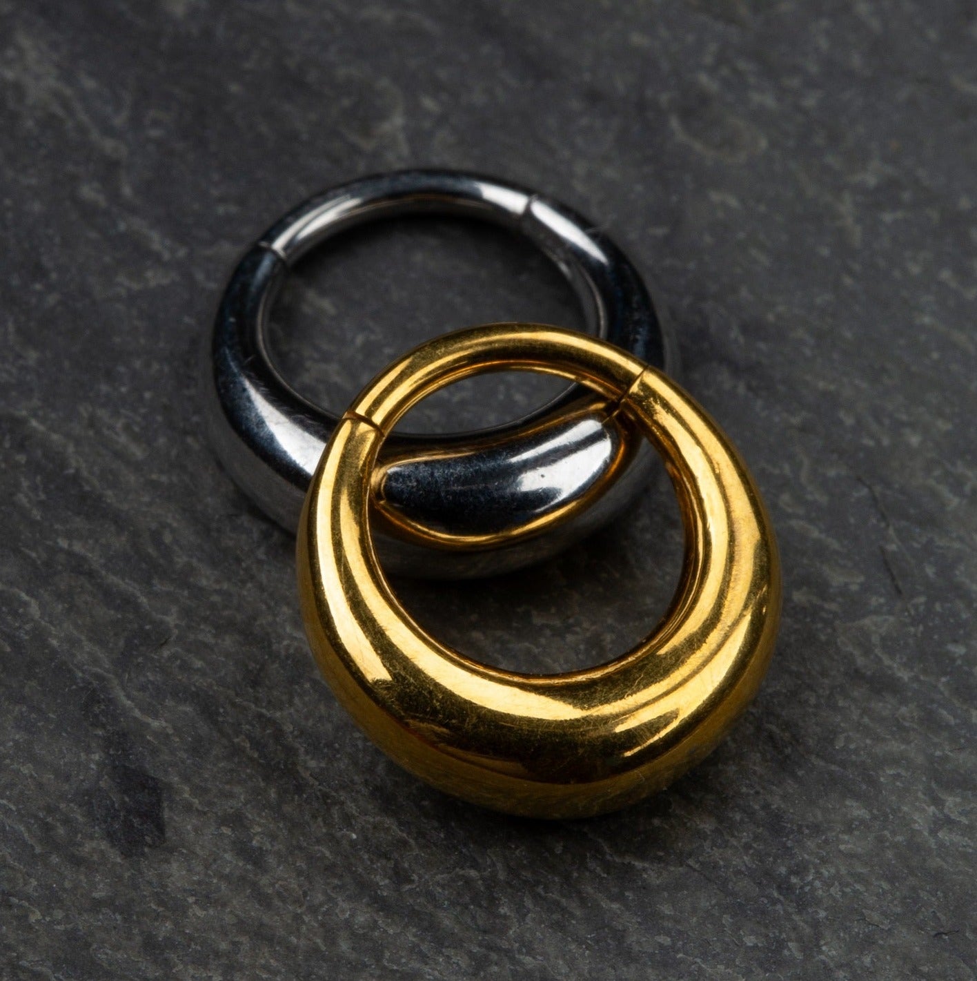 Polished Rounded Thick Hoop Hinged Segment Ring - 316L Stainless Steel