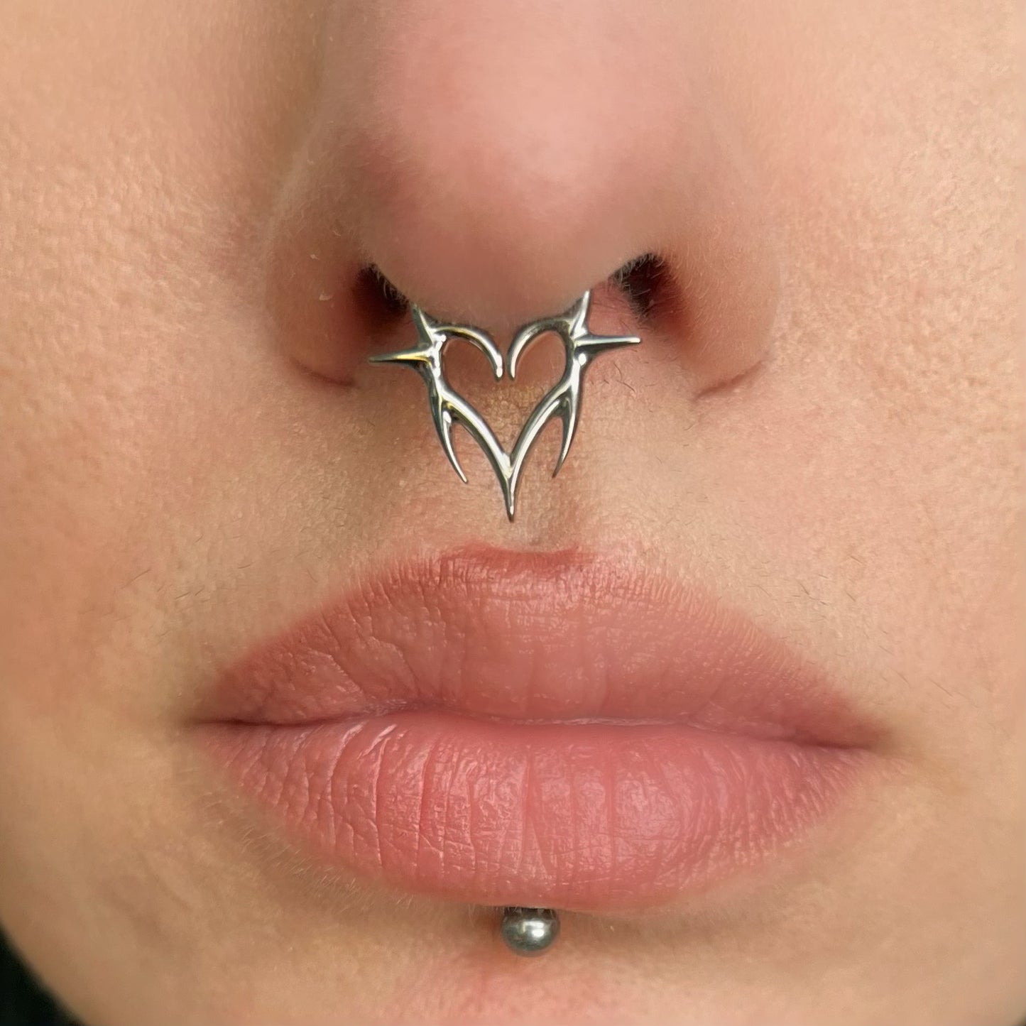 Spiked Heart Hinged Segment Clicker Ring - ASTM F-136 Implant Grade Titanium