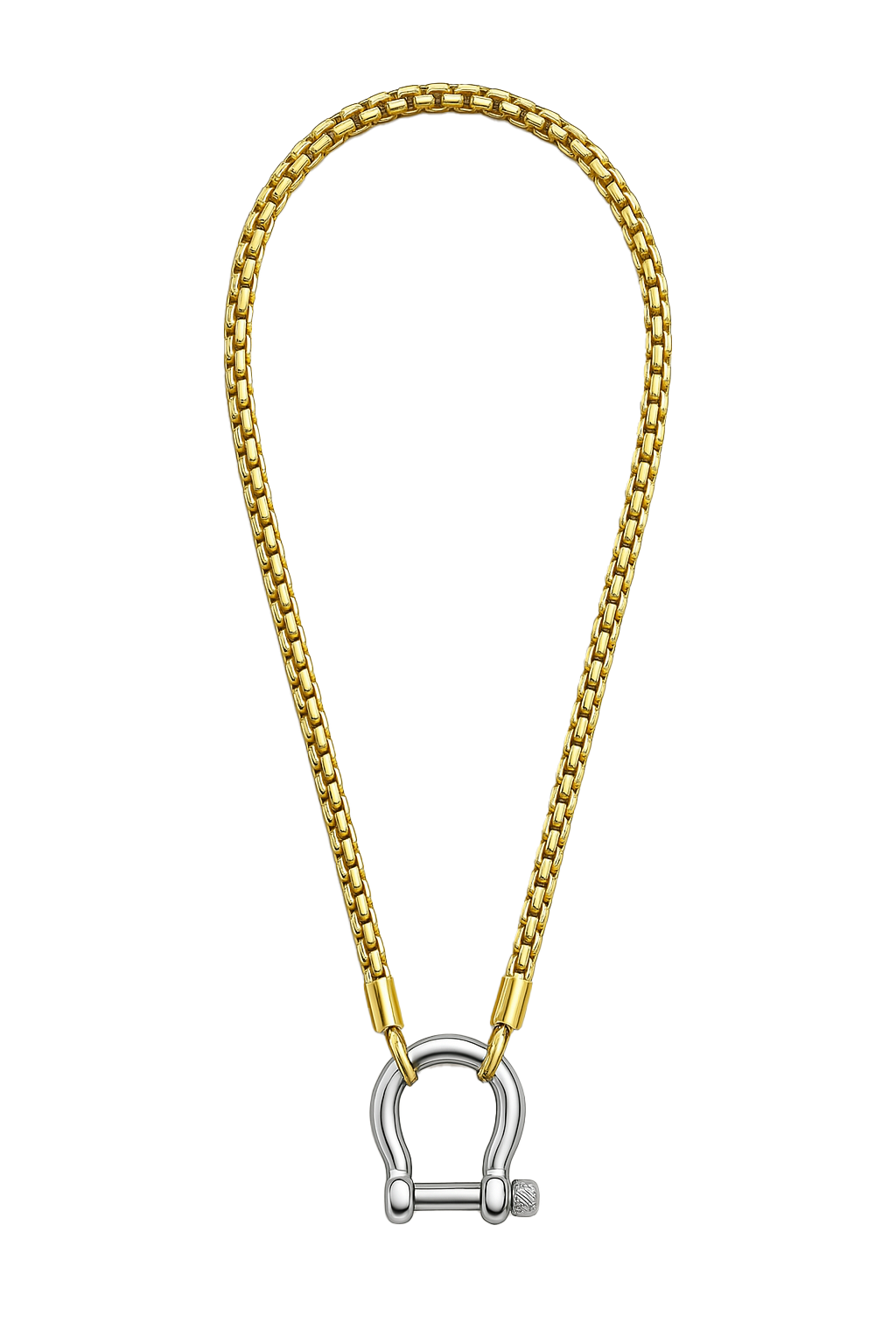 Horseshoe Carabiner Chain Necklace - Stainless Steel
