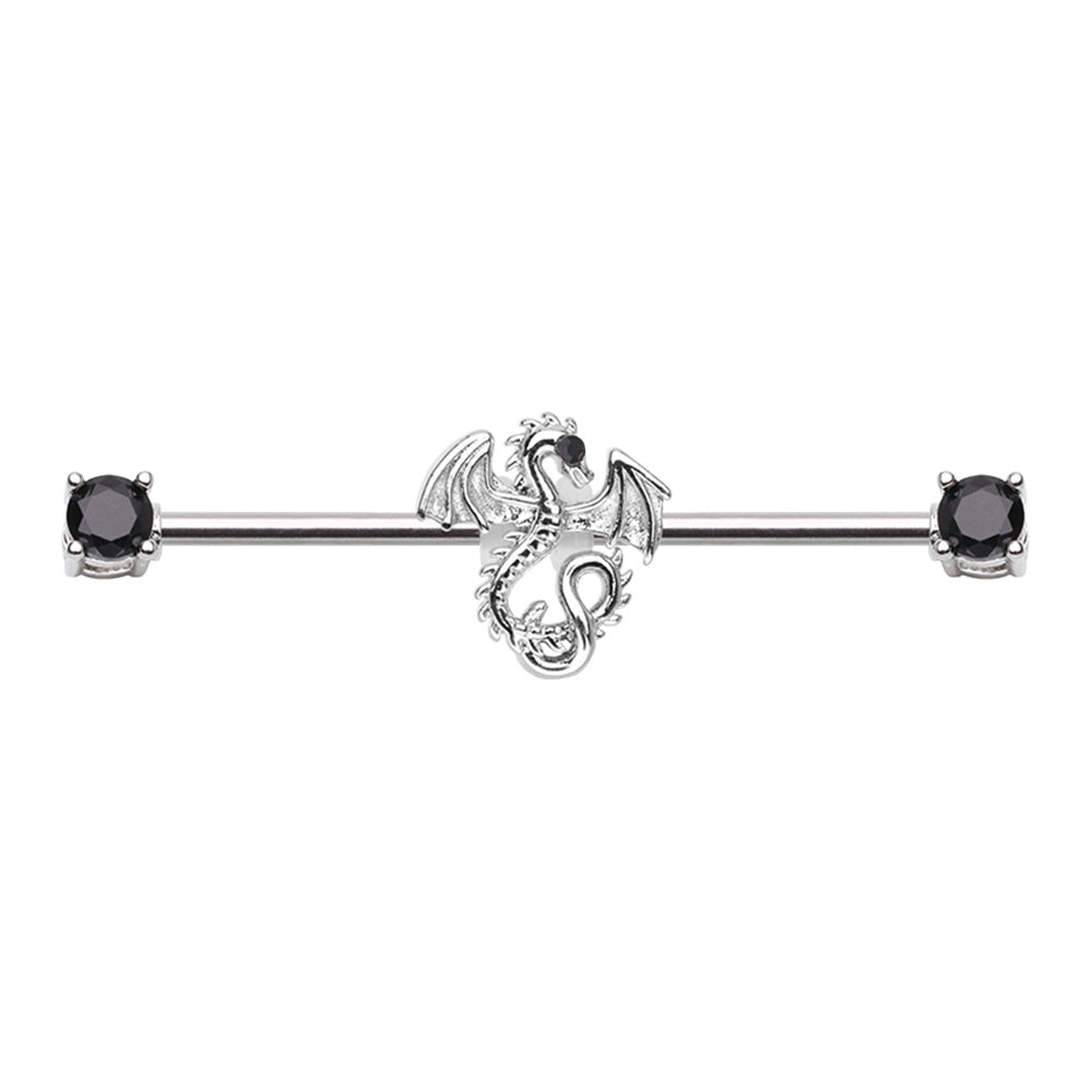 Dragon Industrial Barbell - Stainless Steel