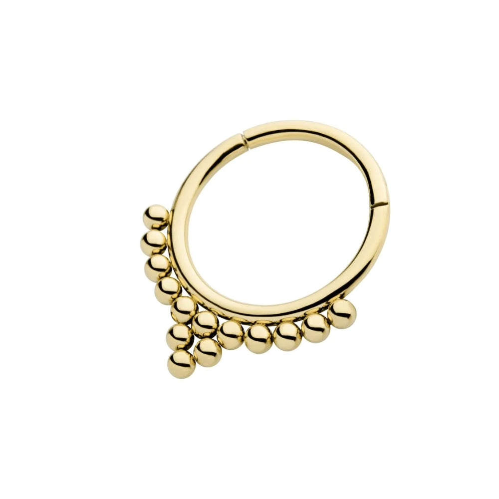 Bead Cluster Front Facing Hinged Segment Clicker - 14kt Gold