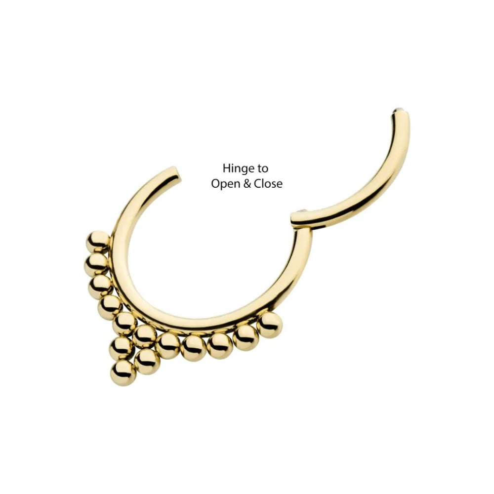 Bead Cluster Front Facing Hinged Segment Clicker - 14kt Gold