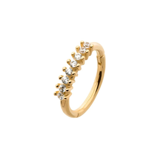 Beaded Cluster CZ Edge Hinged Segment Clicker - 14kt Gold