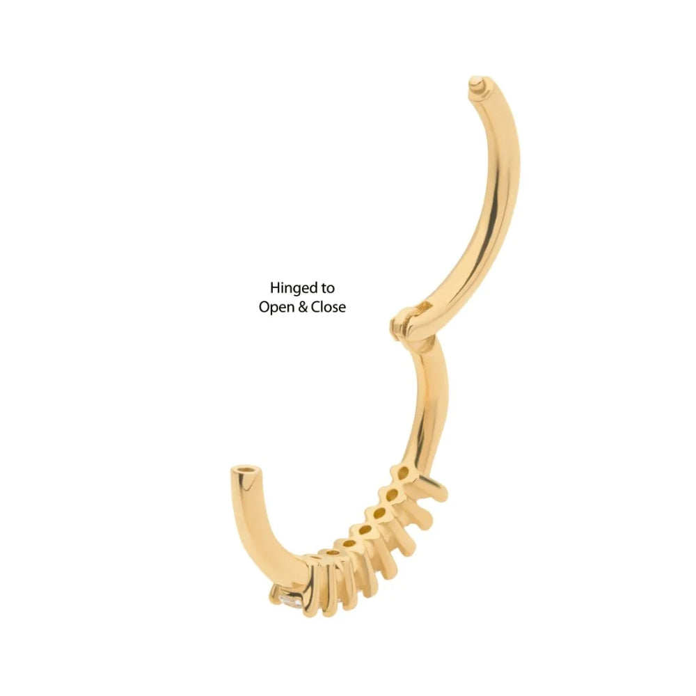 Beaded Cluster CZ Edge Hinged Segment Clicker - 14kt Gold