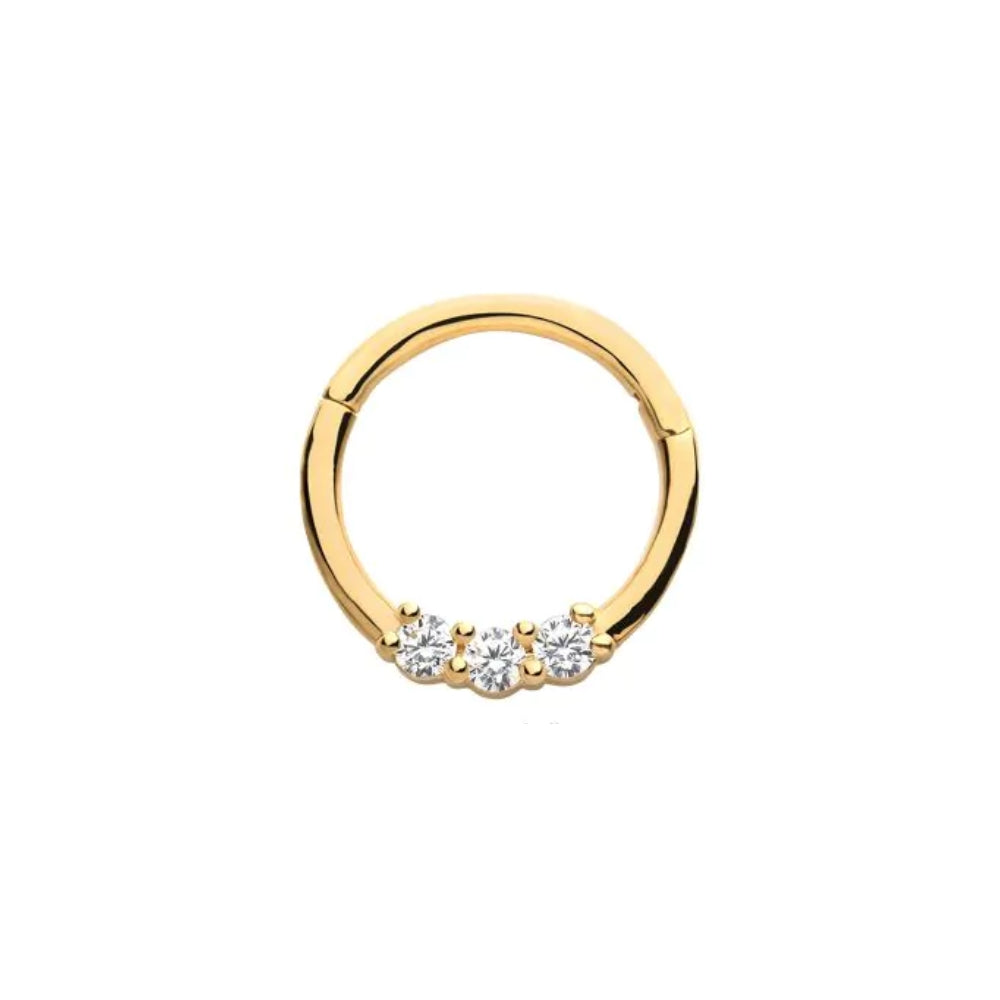 Clear CZ Cluster Front Facing Hinged Segment Clicker - 14kt Gold