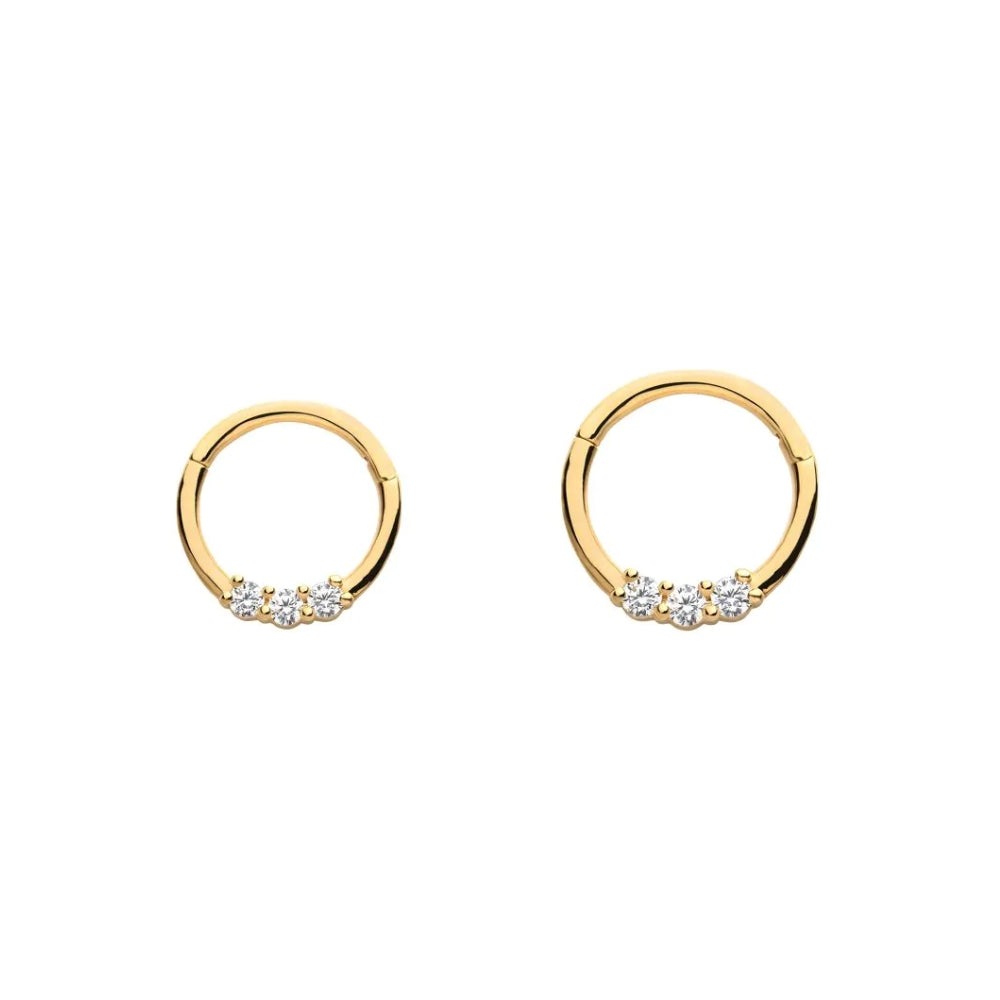 Clear CZ Cluster Front Facing Hinged Segment Clicker - 14kt Gold