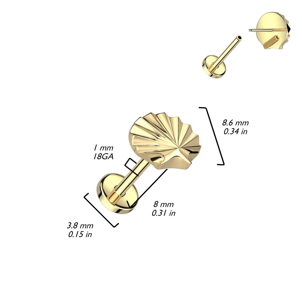 Shell Top Threadless Push-In Labret Stud - F136 Implant Grade Titanium