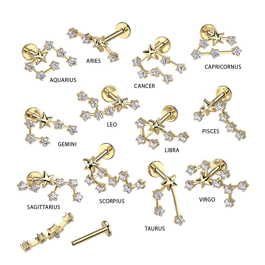 Gold Plated Internally Threaded CZ Crystal Zodiac Constellation Flat Back Stud - 316L Stainless Steel