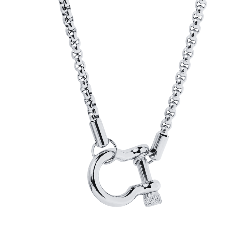 Horseshoe Carabiner Chain Necklace - Stainless Steel
