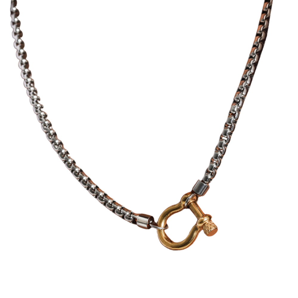 Horseshoe Carabiner Chain Necklace - Stainless Steel