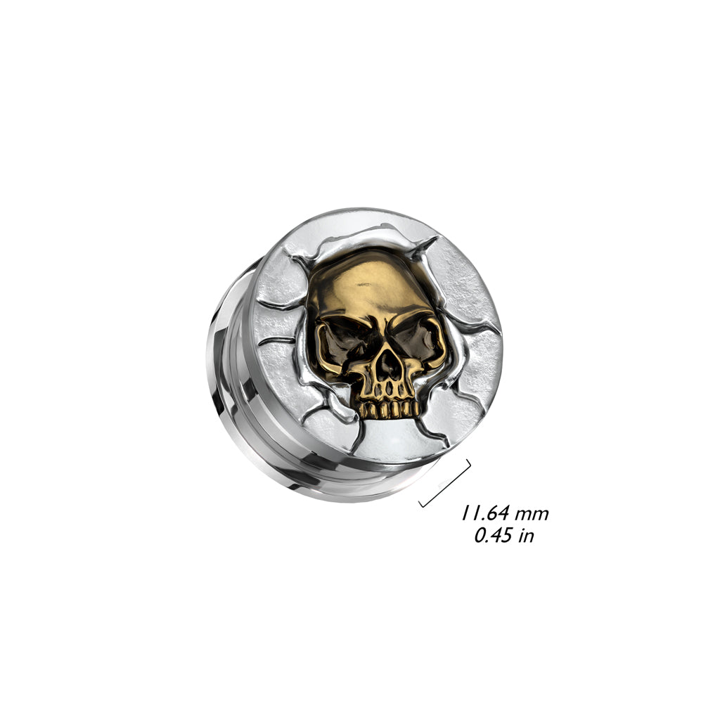Protruding Bronze Skull Screw Fit Plugs - 316L Stainless Steel - Pair