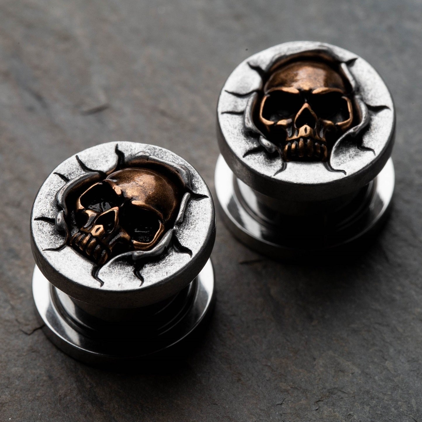 Protruding Bronze Skull Screw Fit Plugs - 316L Stainless Steel - Pair
