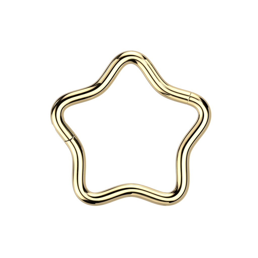 Star Shaped Hinged Segment Ring - F136 Implant Grade Titanium