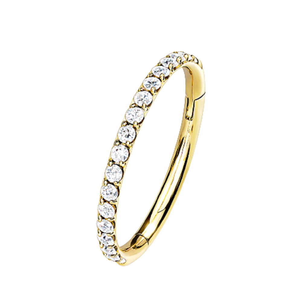 CZ Crystal Paved Hinged Segment Clicker Ring - G23 Implant Grade Titanium