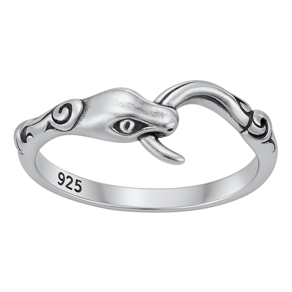Snake Biting Tail Ring - Oxidized Sterling Silver