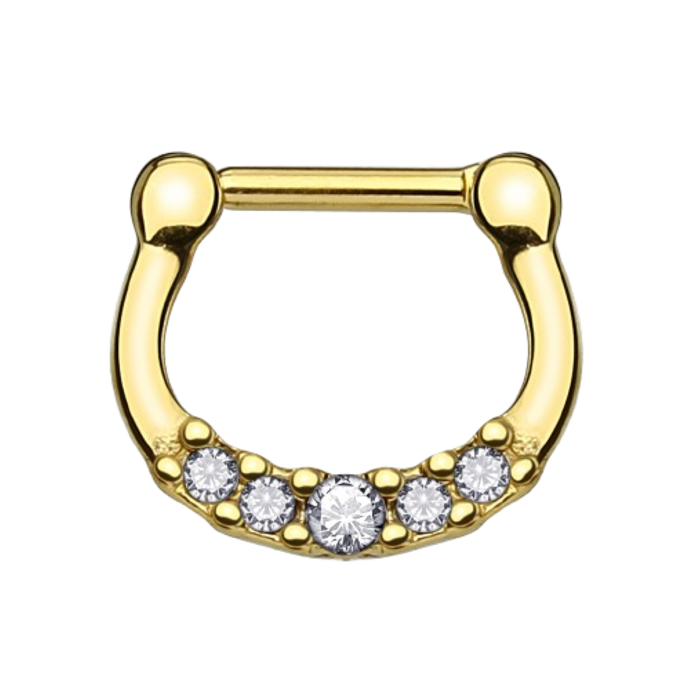 Front Facing Crystal Lined Septum Clicker Ring