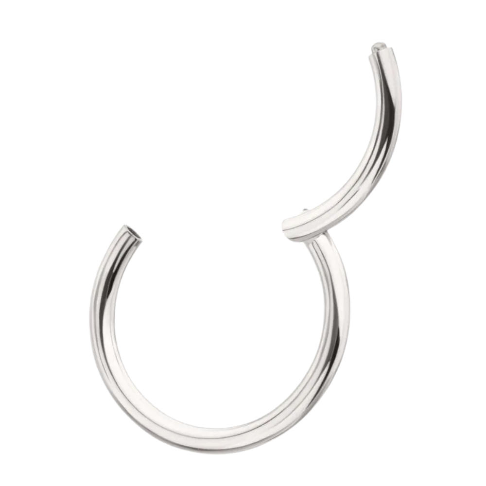 Basic Hinged Segment Clicker Ring - Platinum PVD ASTM F-136 Implant Grade Titanium