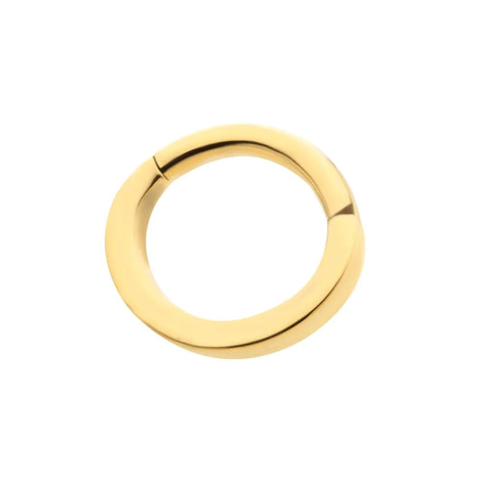 Oval Shaped Hinged Segment Clicker Ring - 24KT Gold PVD ASTM F-136 Implant Grade Titanium