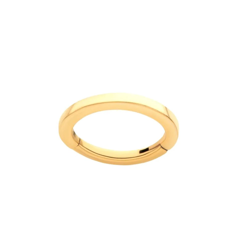 Oval Shaped Hinged Segment Clicker Ring - 24KT Gold PVD ASTM F-136 Implant Grade Titanium