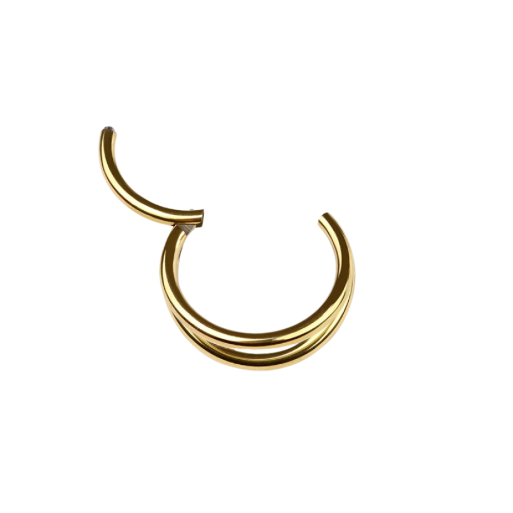Double Hoop Hinged Segment Clicker Ring - 316L Stainless Steel