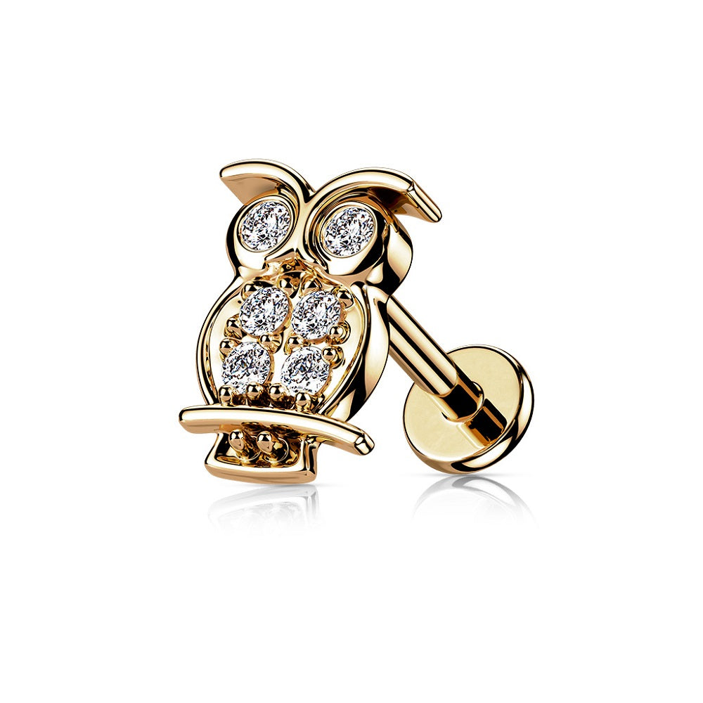 CZ Crystal Paved Owl Internally Threaded Stud - 316L Stainless Steel