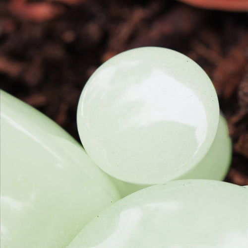 Natural Glow in the Dark Moonstone Saddle Plugs