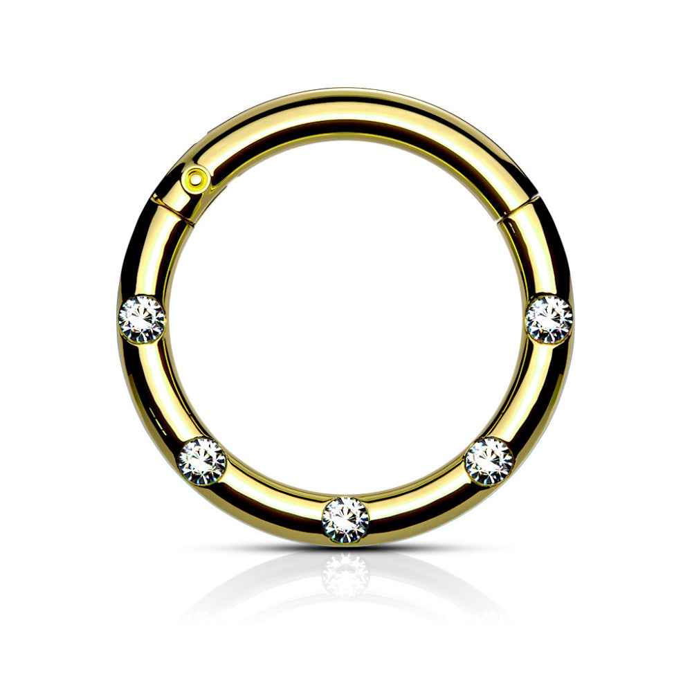 Five CZ Crystal Lined Hinged Segment Ring - Stainless Steel