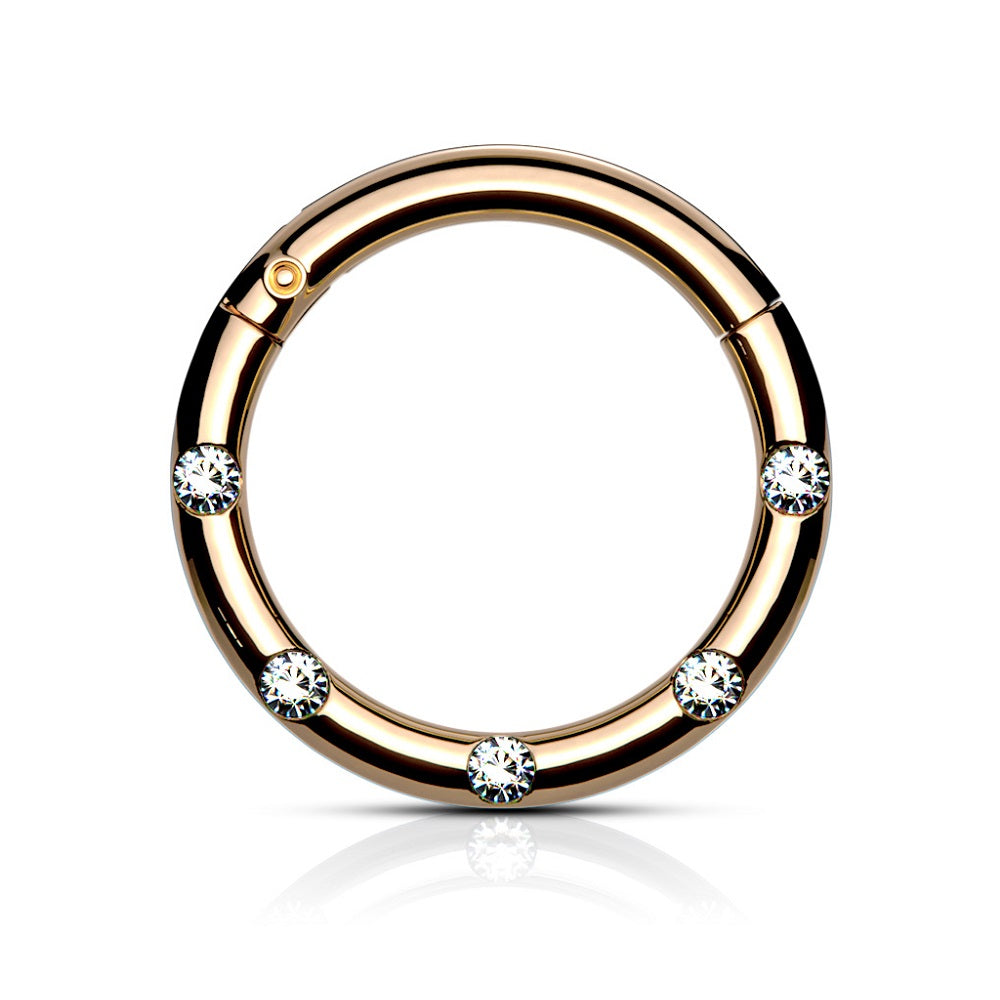 Five CZ Crystal Lined Hinged Segment Ring - Stainless Steel