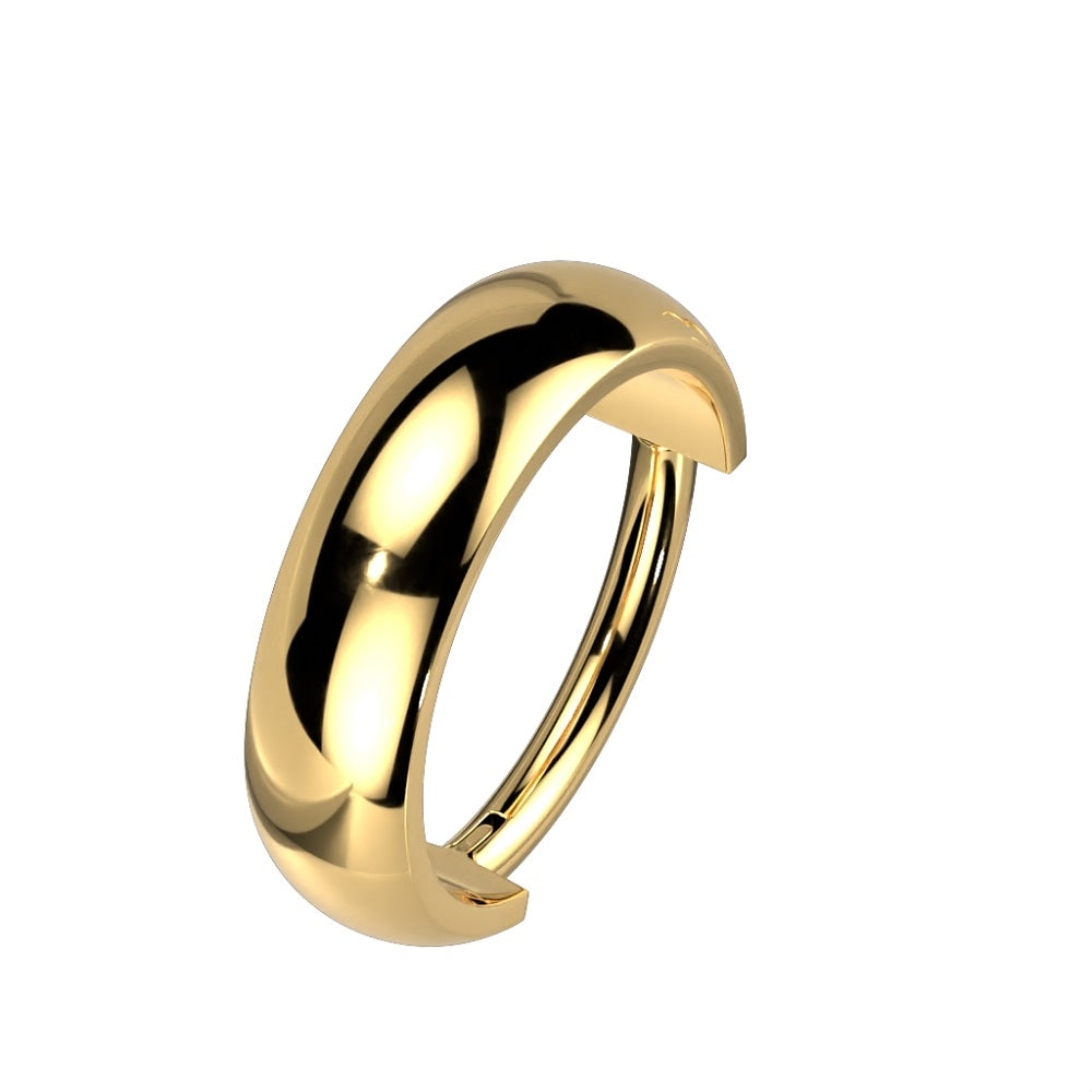 Thick Domed Cuff Hinged Segment Ring
- G23 Implant Grade Titanium