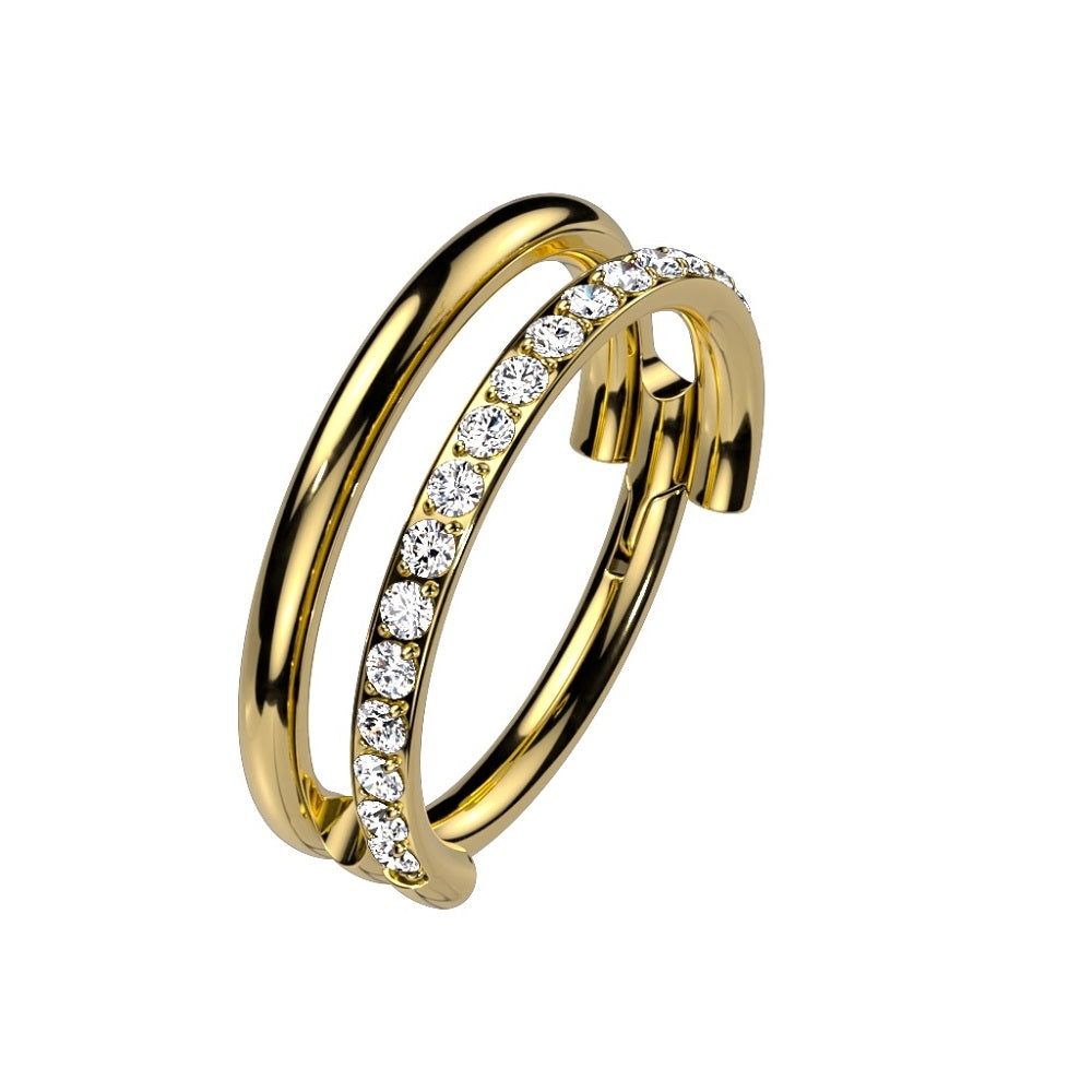 Plain and CZ Crystal Lined Double Hoop Hinged Segment Ring - G23 Implant Grade Titanium