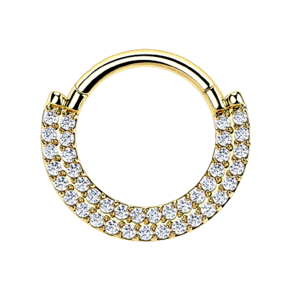 Double CZ Crystal Lined Cartilage Helix Daith Septum Hinged Segment Ring
- G23 Implant Grade Titanium