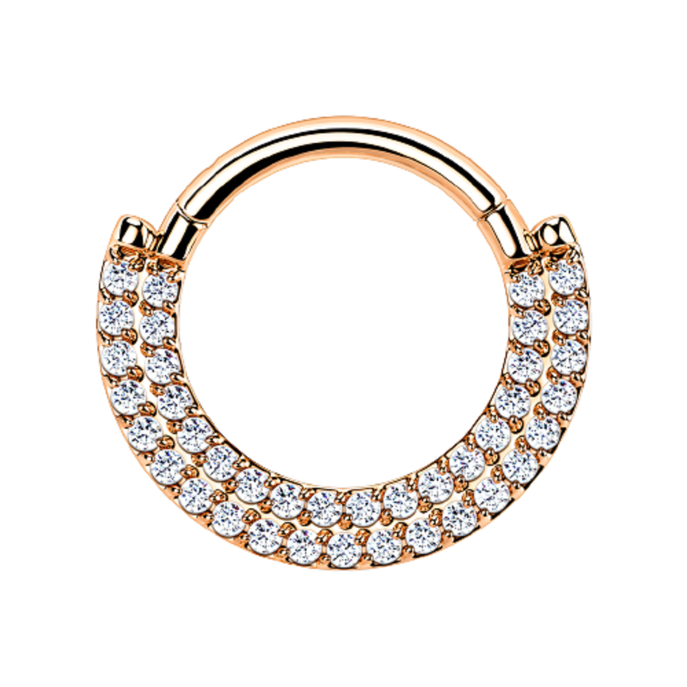 Double CZ Crystal Lined Cartilage Helix Daith Septum Hinged Segment Ring
- G23 Implant Grade Titanium