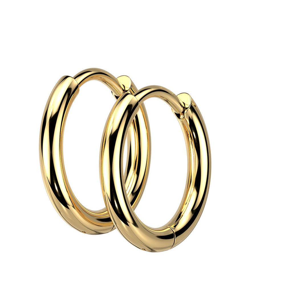 2mm Thick Hinged Round Hoop Earrings - 316L Stainless Steel - Pair