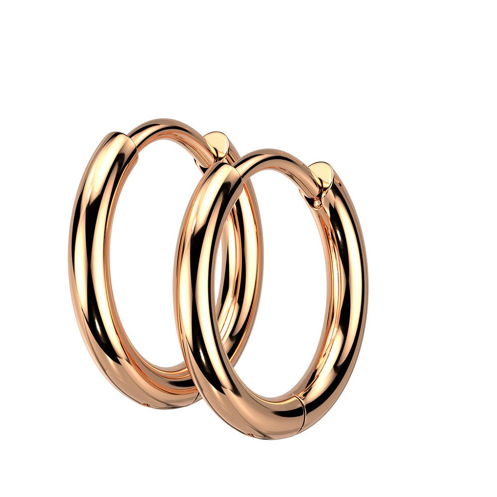 2mm Thick Hinged Round Hoop Earrings - 316L Stainless Steel - Pair