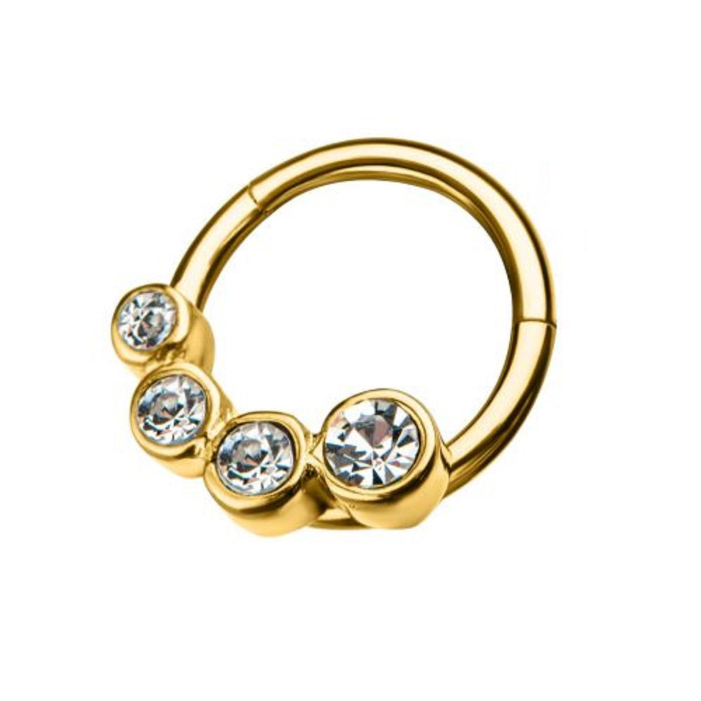 Multi Round Clear CZ Gems Hinged Segment Clicker Ring - 316L Stainless Steel