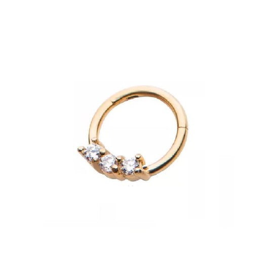 Hinged Segment Ring with Prong Set Clear CZ Gems - Stainless Steel
