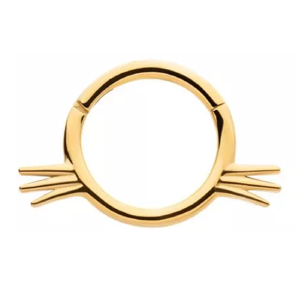 Cat with Whiskers Hinged Segment Ring - 316L Stainless Steel