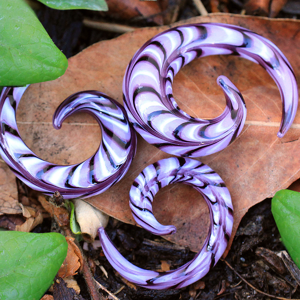 Purple Swirl Spiral Taper Plugs