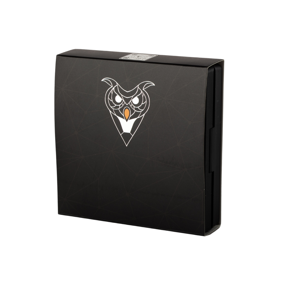 Pierced Owl Transparent Jewelry Display Case
