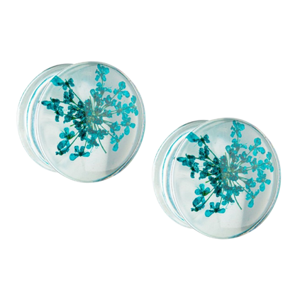 Dried Aqua Flowers in Acrylic Flesh Fit Plugs - Pair