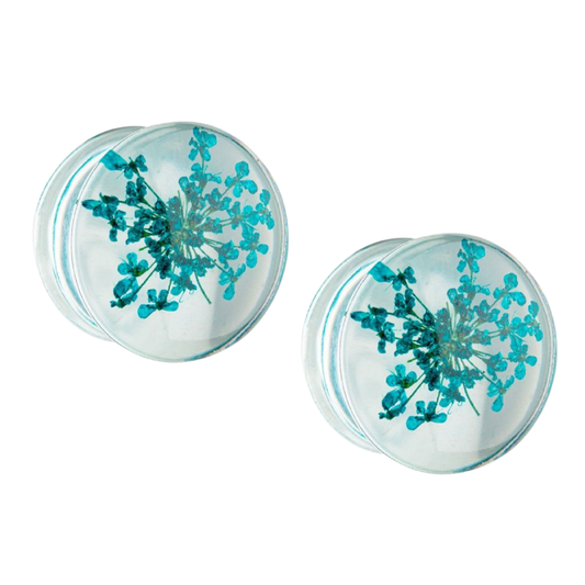 Dried Aqua Flowers in Acrylic Flesh Fit Plugs - Pair