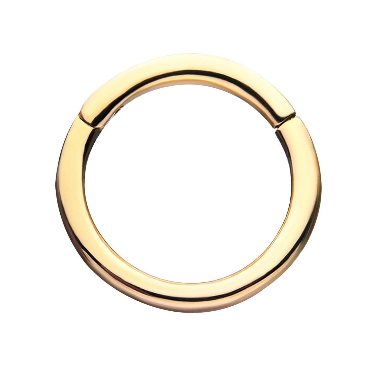 Basic Hinged Segment Clicker Ring - 14kt Gold