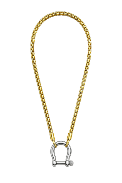 Horseshoe Carabiner Chain Necklace - Stainless Steel