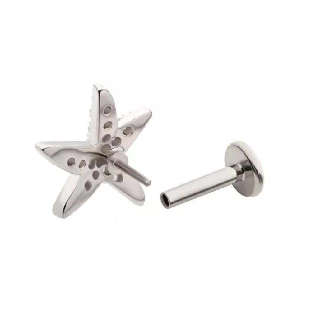 Threadless CZ Crystal Paved Starfish Flat Back Stud - 316L Stainless Steel