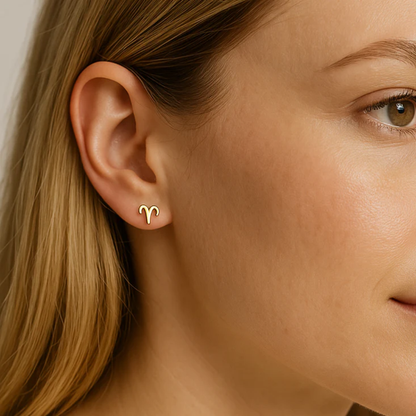 Zodiac Stud Earrings - Pair - 316L Stainless Steel