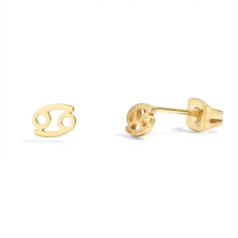Zodiac Stud Earrings - Pair - 316L Stainless Steel