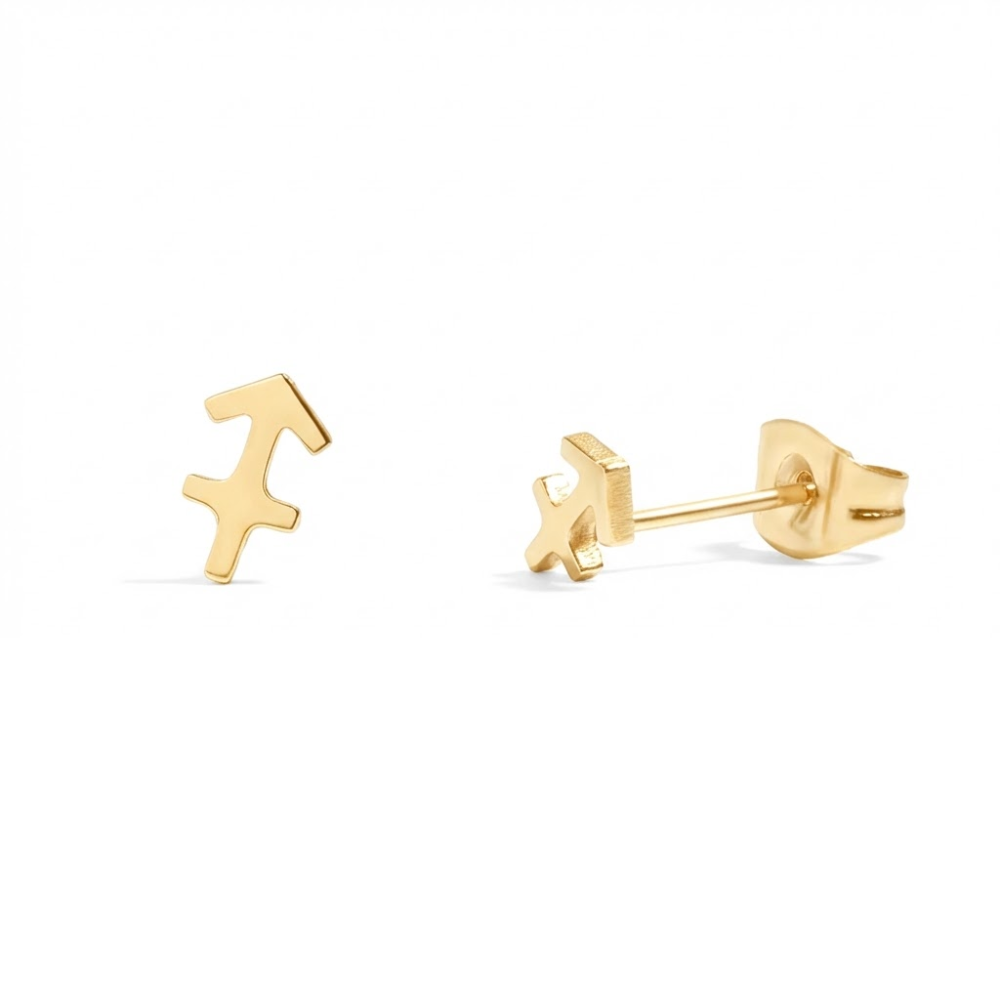 Zodiac Stud Earrings - Pair - 316L Stainless Steel