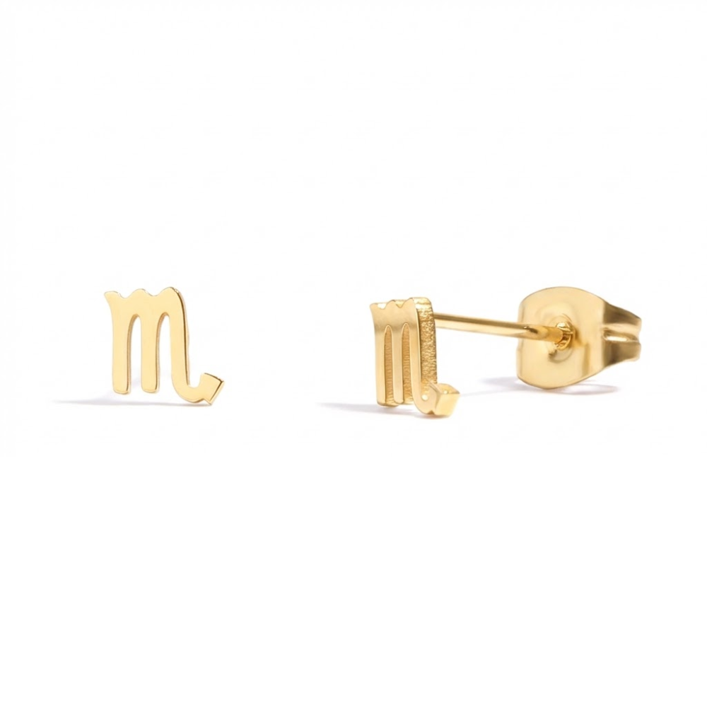 Zodiac Stud Earrings - Pair - 316L Stainless Steel